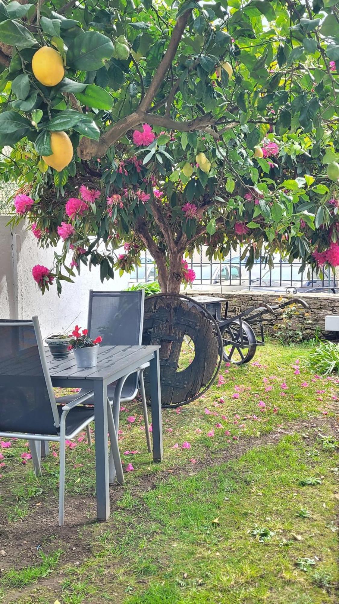 Besbello Suites Apartamento Saint-Jacques-de-Compostelle Extérieur photo